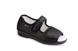 250_ORTHOCE.JPG